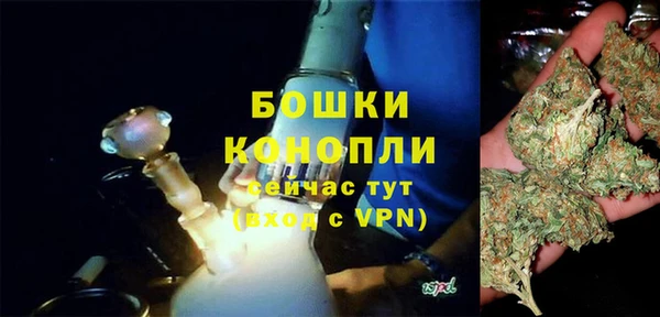 прущие грибы Анжеро-Судженск