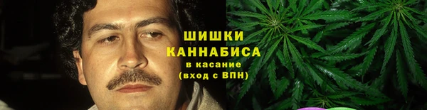 прущие грибы Анжеро-Судженск