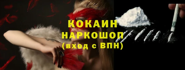 прущие грибы Анжеро-Судженск