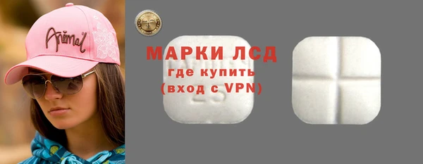 прущие грибы Анжеро-Судженск