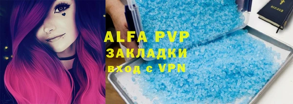 прущие грибы Анжеро-Судженск