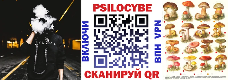 MEGA tor  Ершов  Галлюциногенные грибы мухоморы  где можно купить  